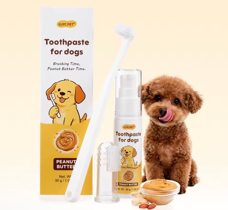 Dental Care