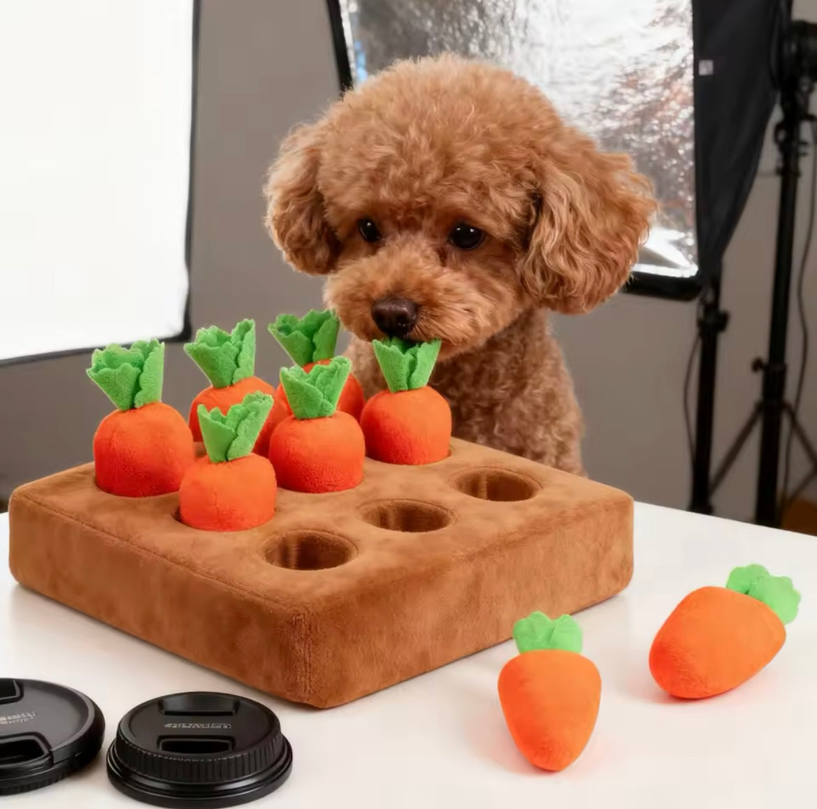Interactive Toys
