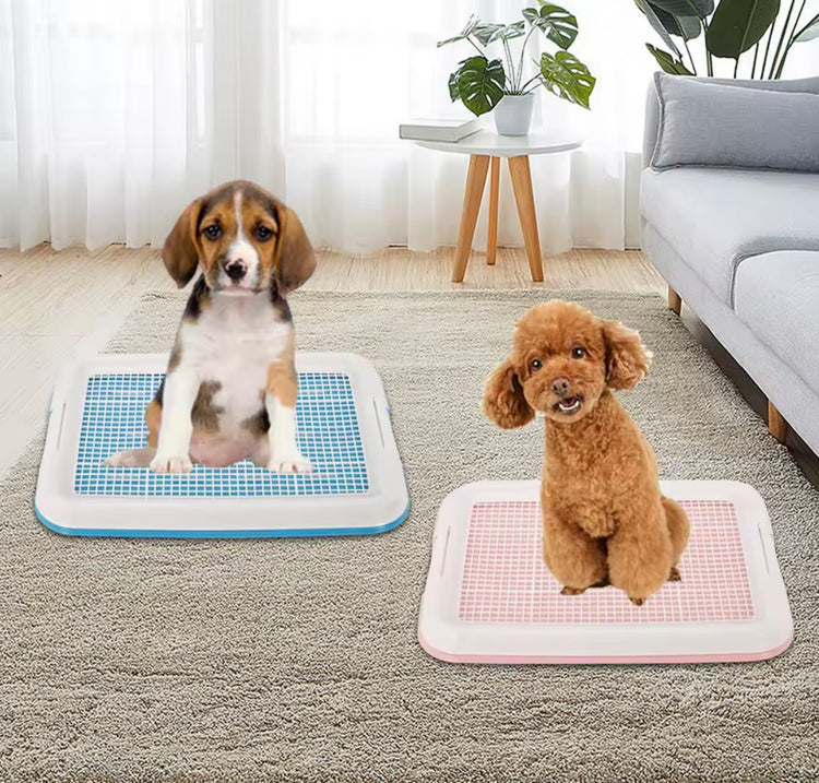 Potty Training