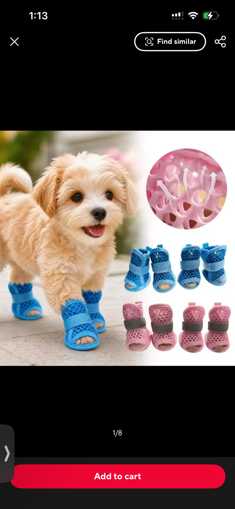 Shoes, Sandals & Boots