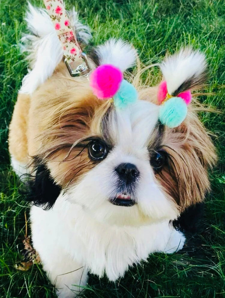 Hair Clips & Bow Ties