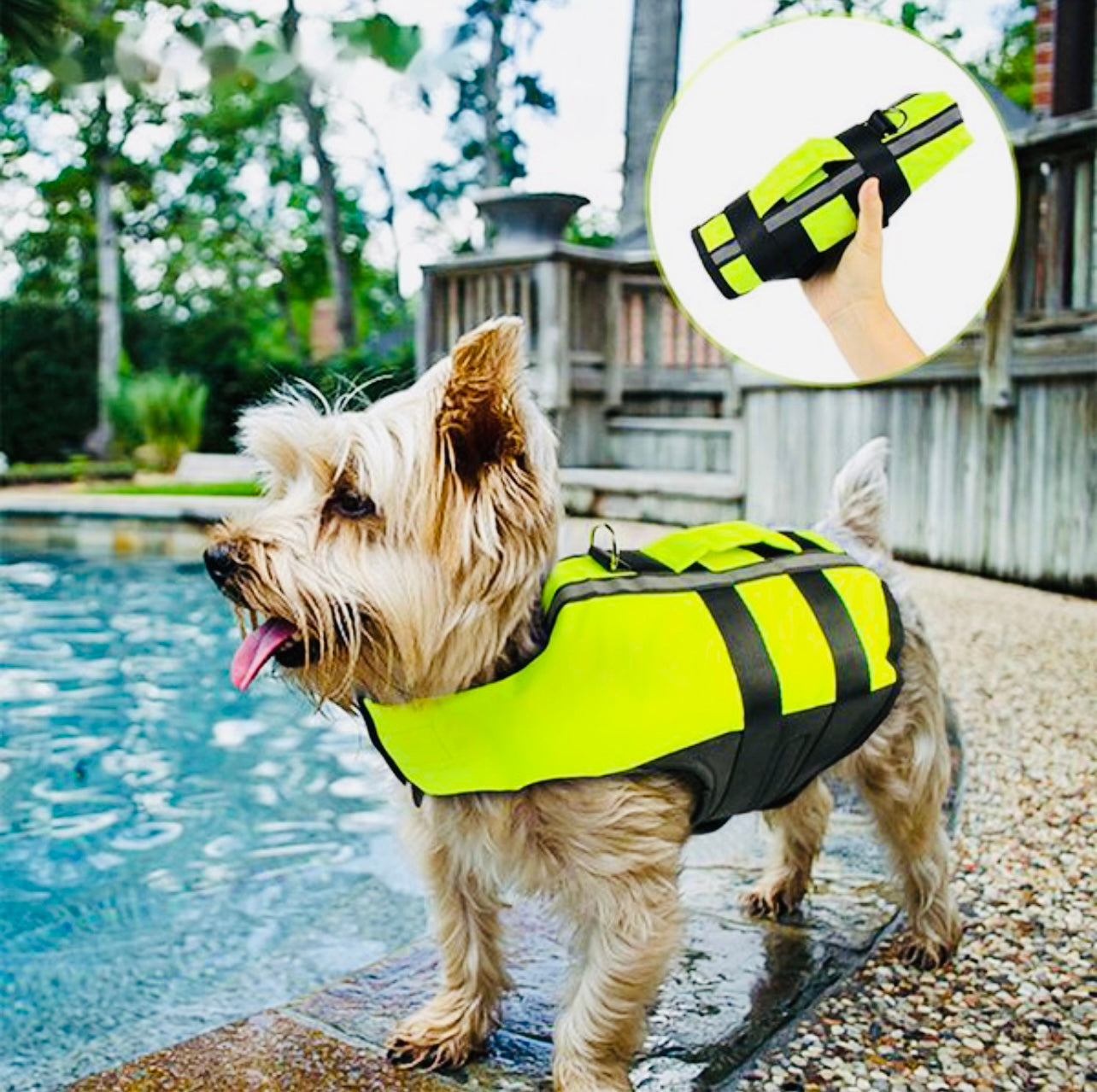 Bathing Suits & Life Jackets