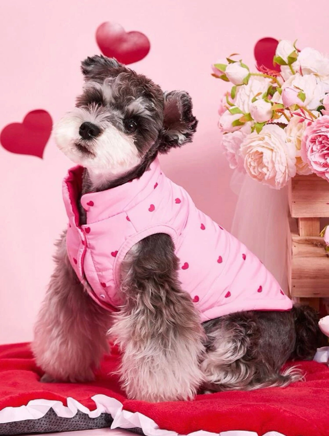 Valentine’s Day Clothes