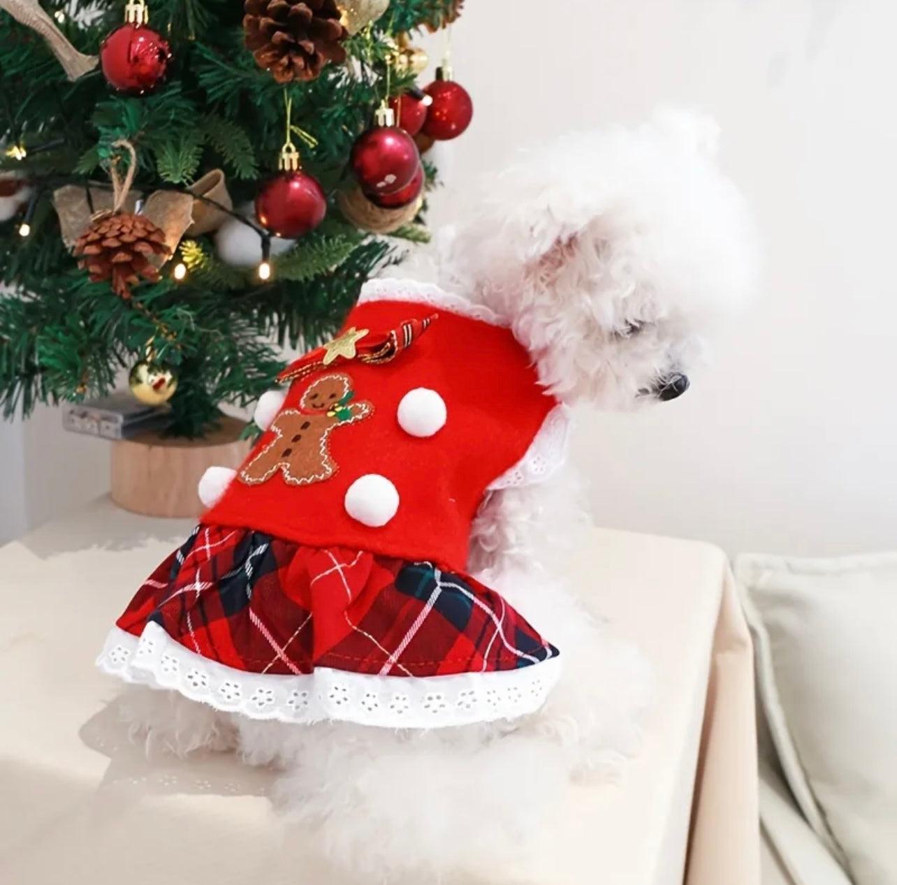 Christmas Clothes