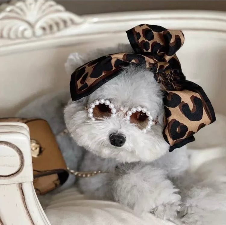 Luxury Collection