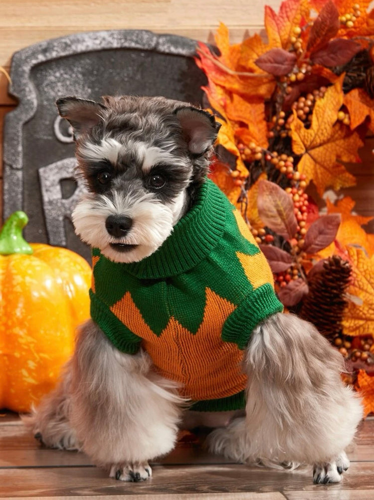 Halloween Costumes