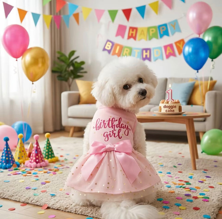 Special Occasion Wear