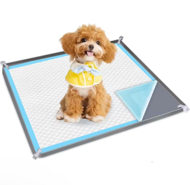 Diapers & Training Pads